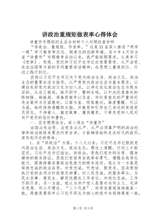 讲政治重规矩做表率心得体会