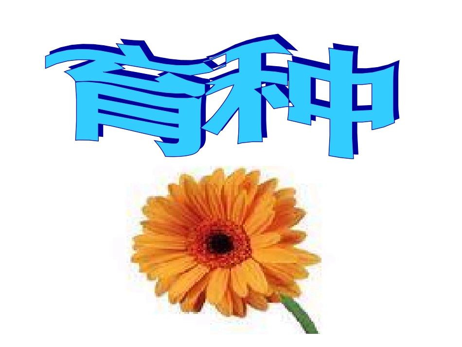 育种---省级示范性高中所用教学课件_第2页