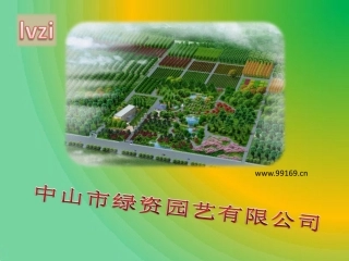 绿化,苗木,花木,广东花卉之绿资扁柏,龙柏,罗汉松,南洋杉