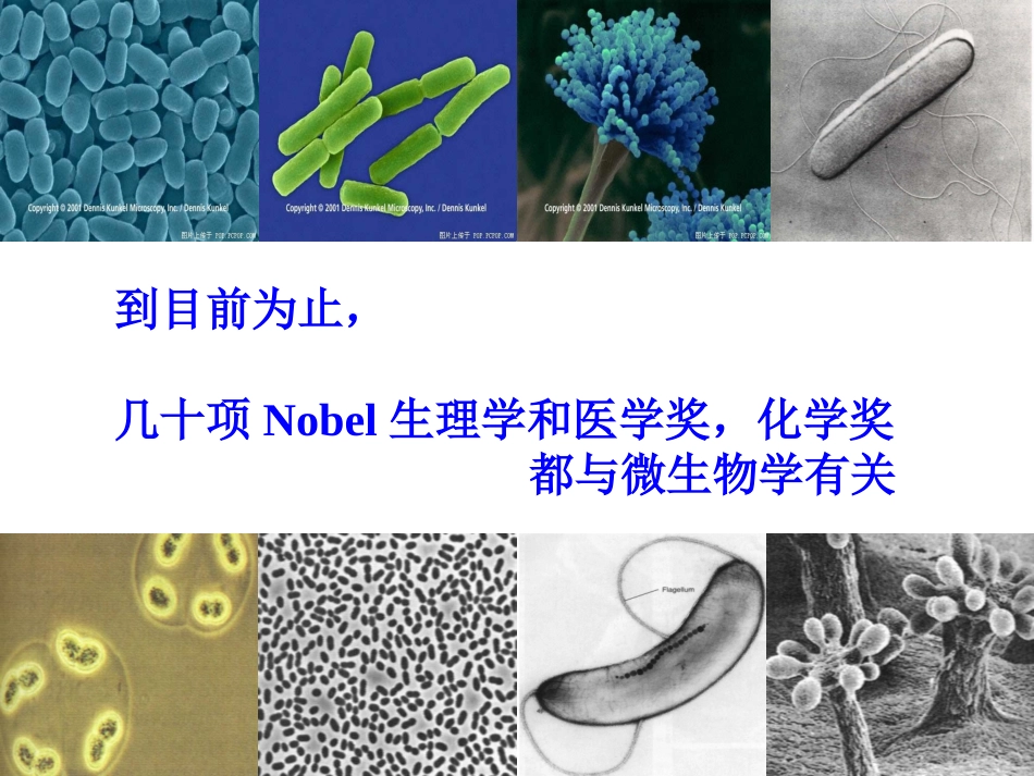 微生物的实验室培养_(2014上课)_第1页