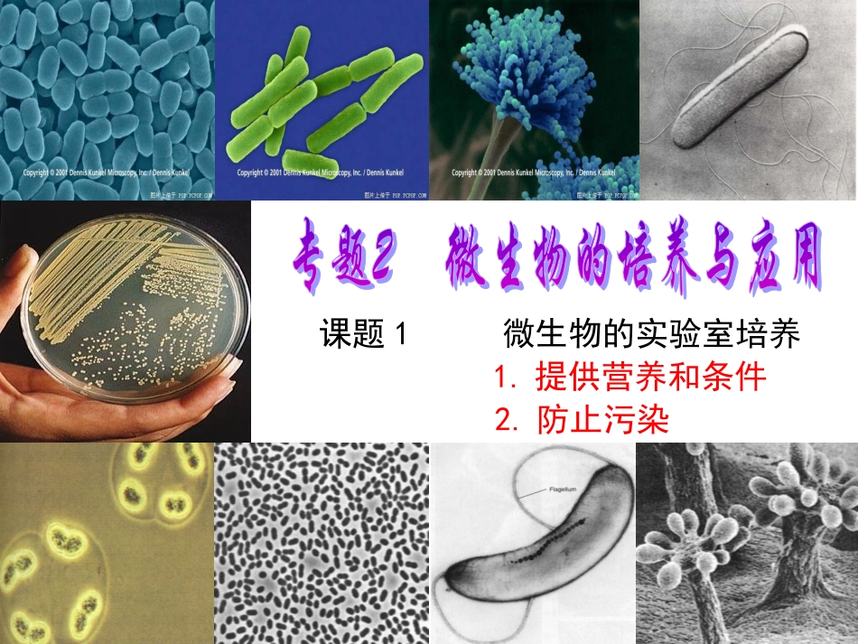 微生物的实验室培养_(2014上课)_第3页