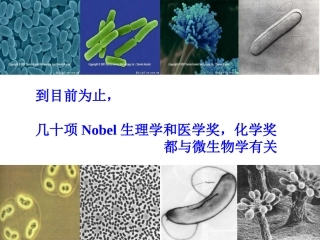 微生物的实验室培养_(2014上课)