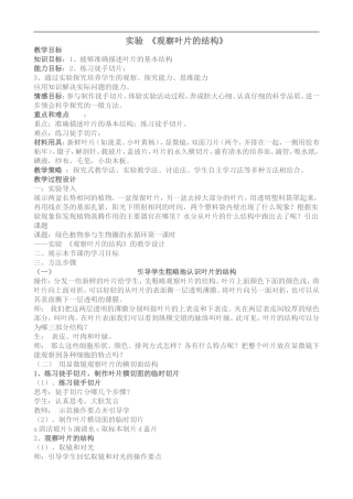 观察叶片的结构