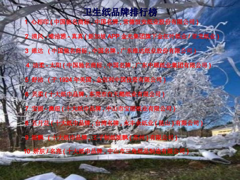 中国卫生纸十大品牌_第2页