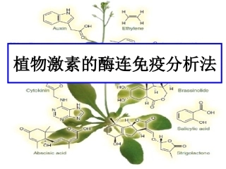 植物激素的测定方法