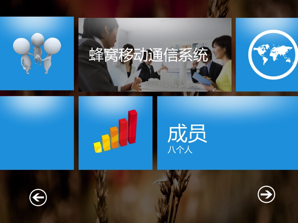 移动蜂窝通信系统_第1页