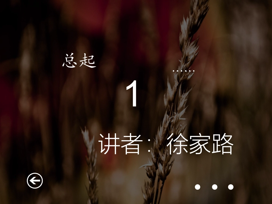 移动蜂窝通信系统_第2页