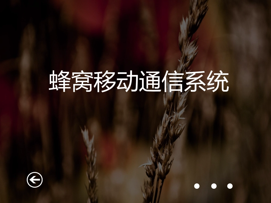 移动蜂窝通信系统_第3页