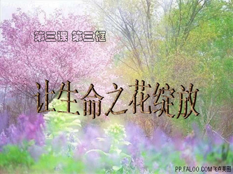 让生命之花绽放.5_第1页