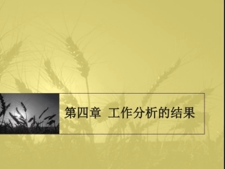 工作分析的结果