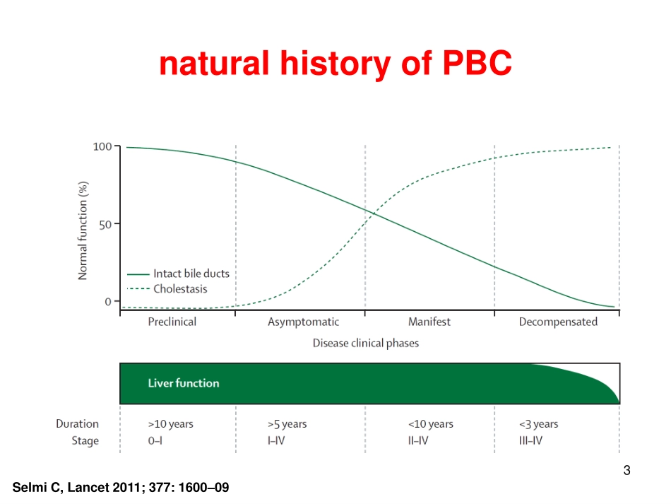 原发性胆汁性肝硬化(PBC)发病机制 仲人前_第3页