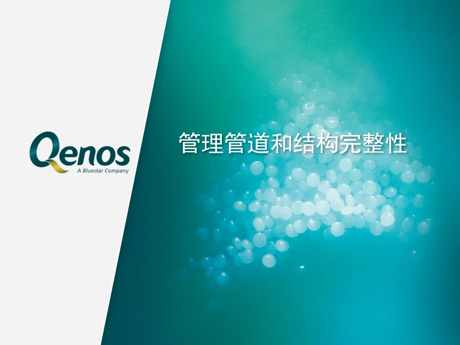 管理管道和结构完整性_第1页