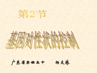 必修2第四章第2节基因对性状的控制