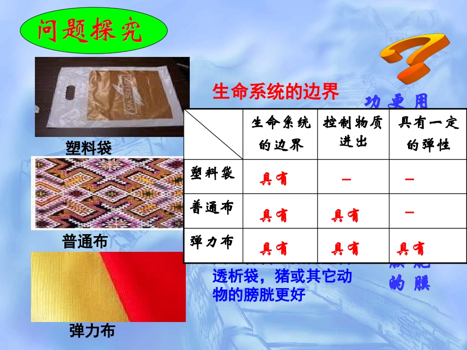 生物膜的流动镶嵌模型(胡版OK)_第3页