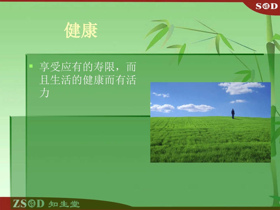 SOD产品理论基础_第3页