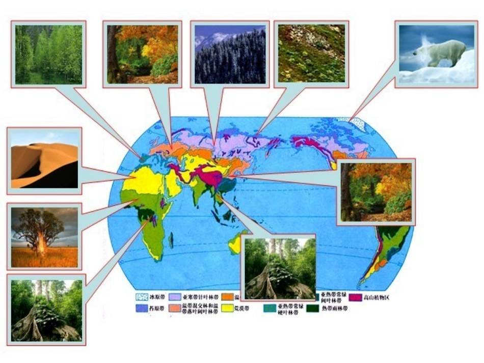 世界气候和自然带分布图_第2页
