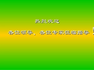 张四伟(1.河南省混凝土通病治理措施)