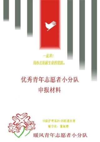 优秀青年志愿者小分队申请材料