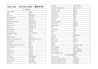 中英试井专业手册(打印)