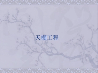 第5节 天棚工程13.07.07