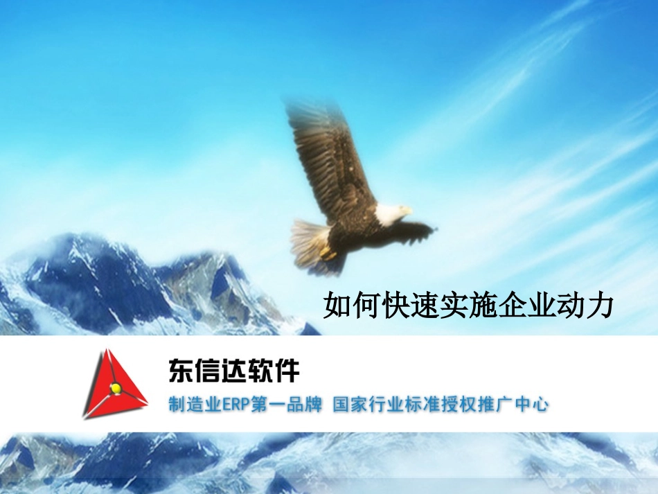 如何快速有效实施东信达企业动力ERP_第1页
