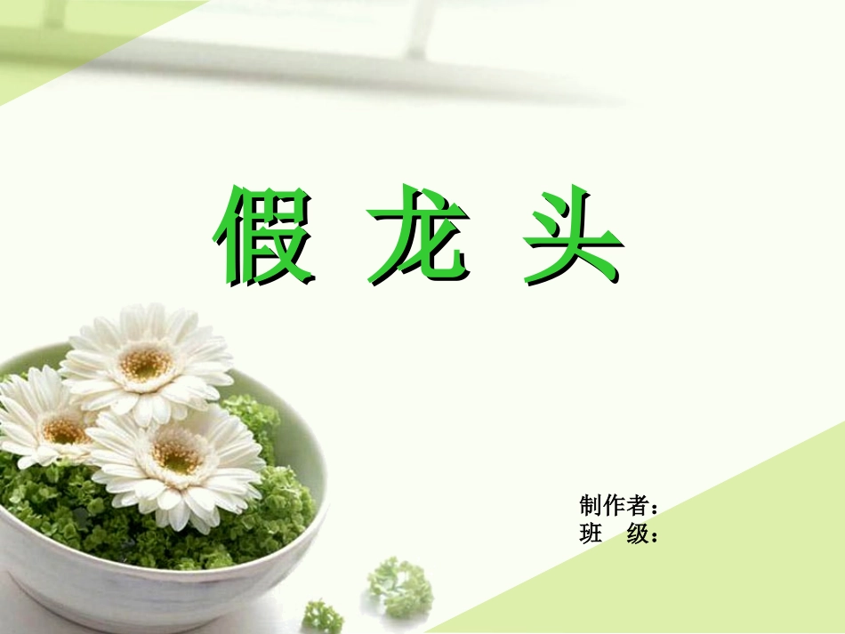 宿根植物—假龙头_第1页