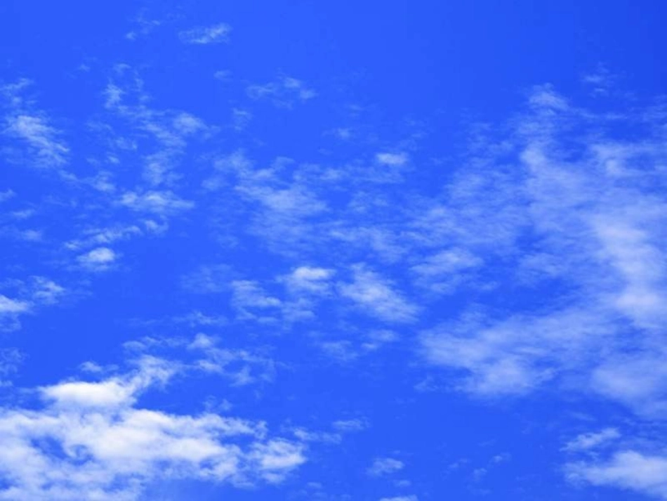 秋天的图画最新_第1页