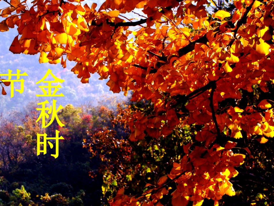 秋天的图画最新_第3页