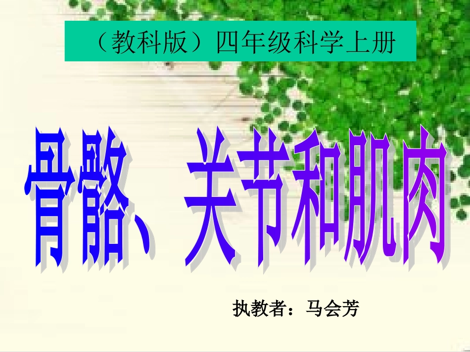 《骨骼、关节和肌肉》课件（马会芳）_第1页