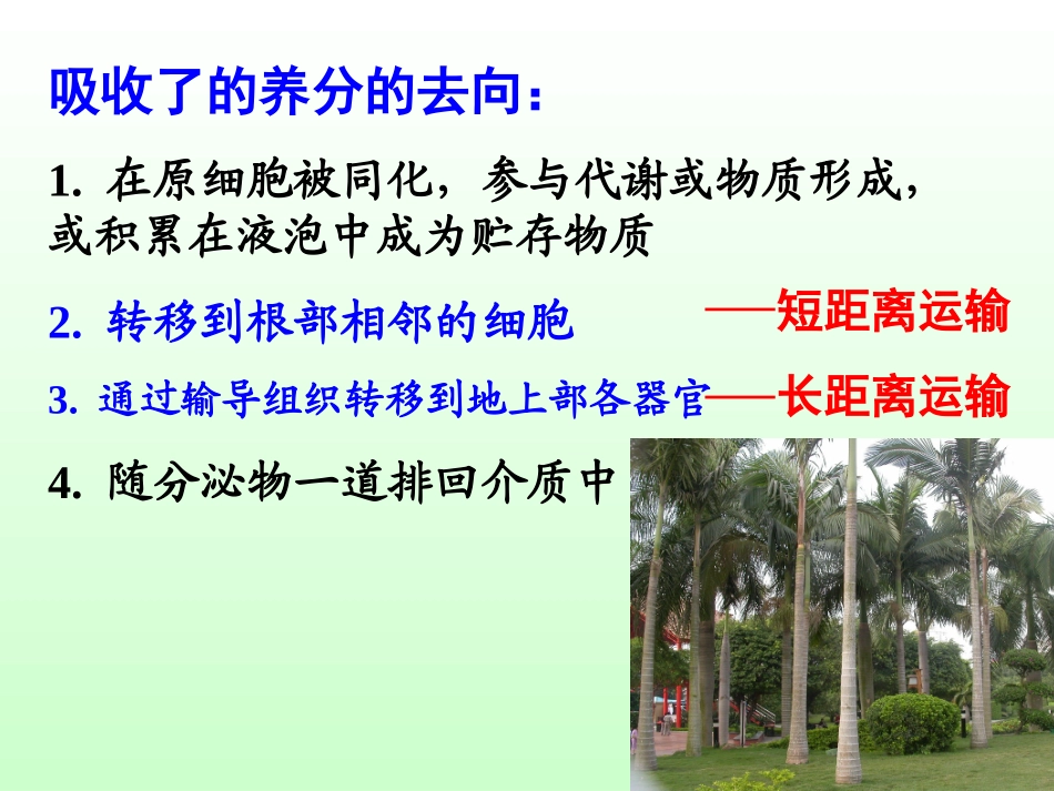 养分在植物体内的运输和分配_第3页