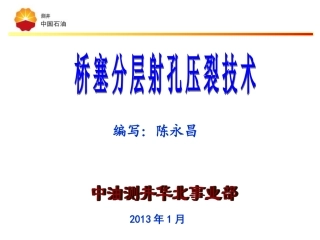 桥塞分层射孔压裂技术