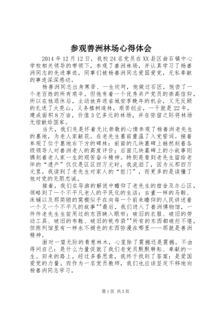 参观善洲林场心得体会