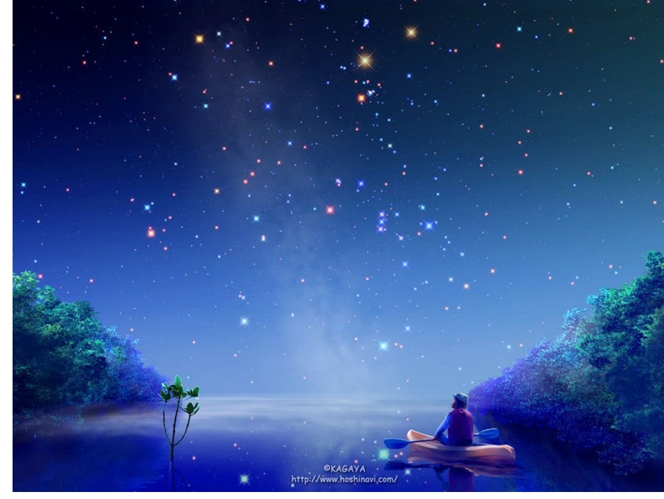 《数星星的孩子》课件王丽新_第3页