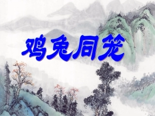 鸡兔同笼问题