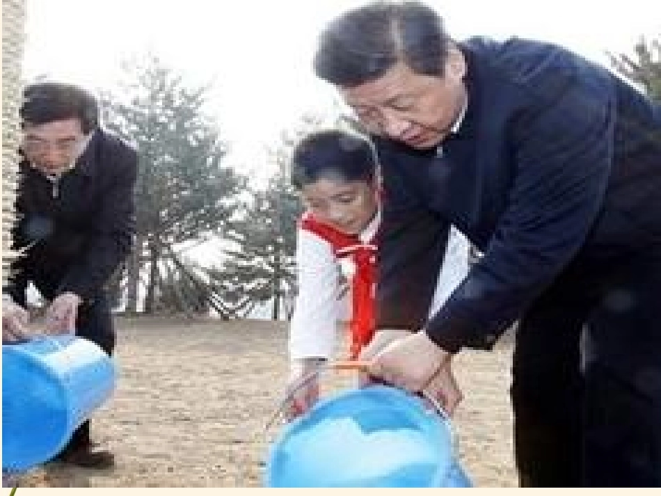 张志勇植树问题课件_第2页