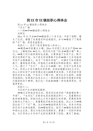 到XX市XX镇挂职心得体会