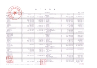 中国重型汽车集团有限公司2010年第三季度会计报表