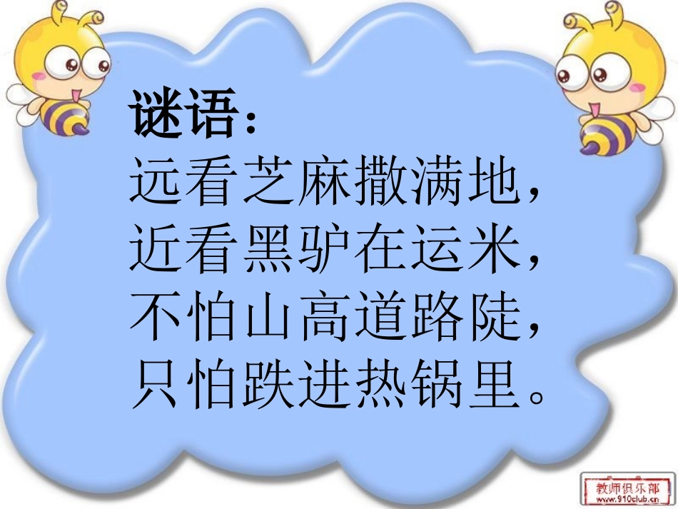 教科版三年级科学上册《蚂蚁》课件_第1页
