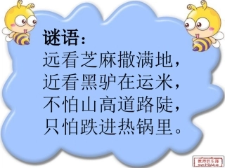 教科版三年级科学上册《蚂蚁》课件