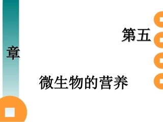 第五章 微生物的营养a