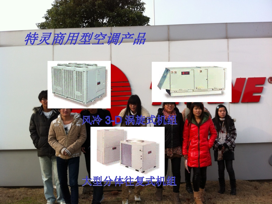 特灵 产品简介_第3页