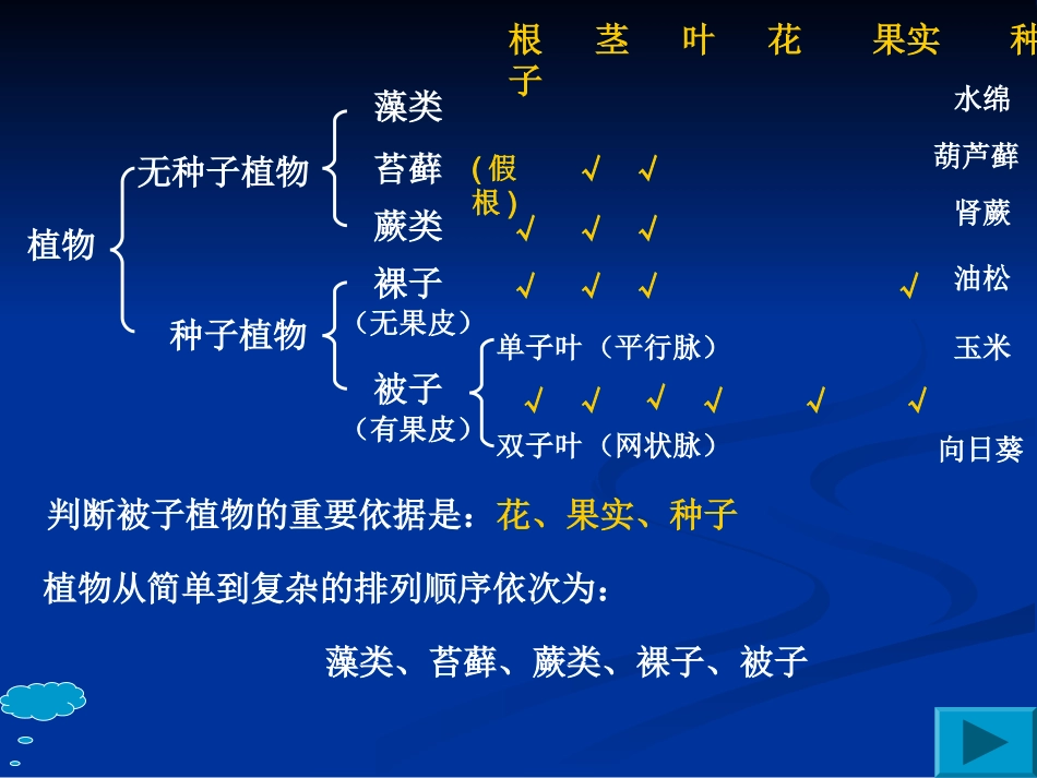 第六章(成品)_第3页