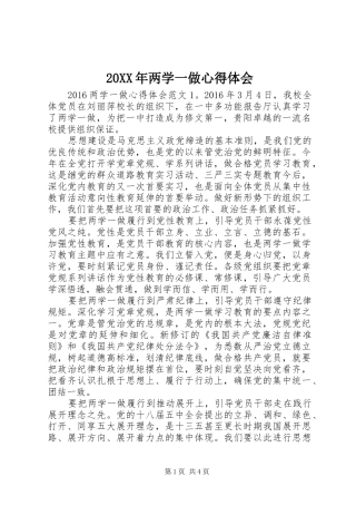 20XX年两学一做心得体会 (19)