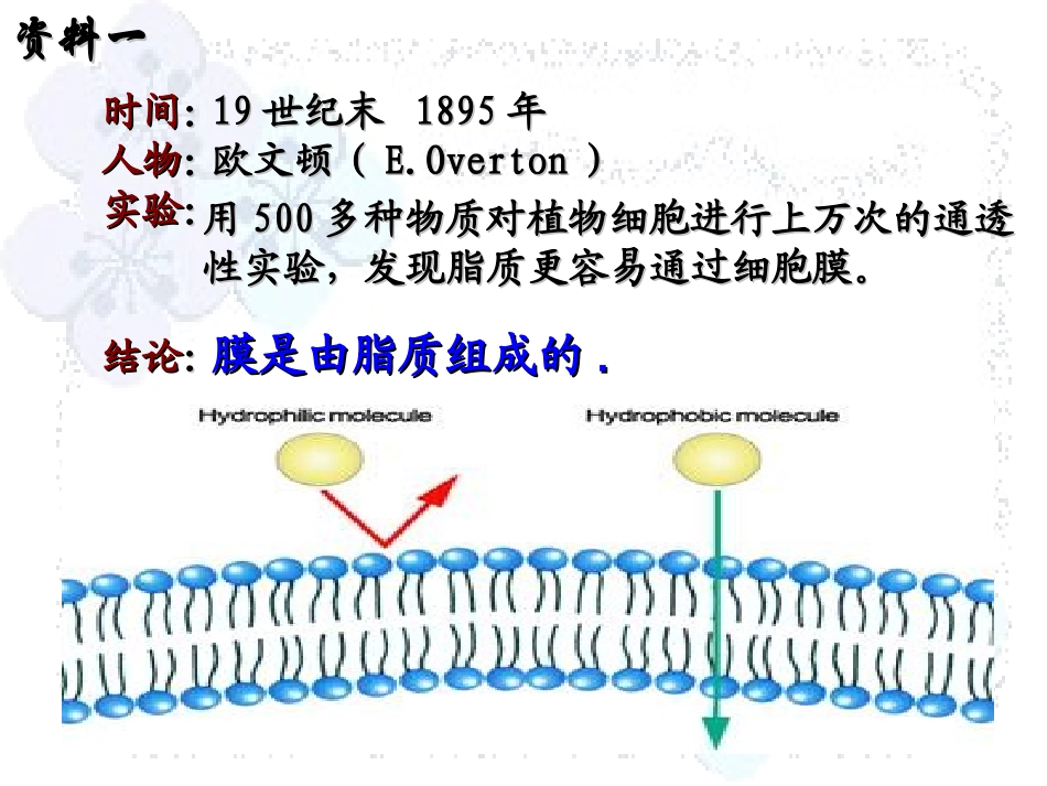 人教版教学课件吉林省松原市扶余县第一中学高一生物《41生物膜的流动镶嵌模型》课件_第3页