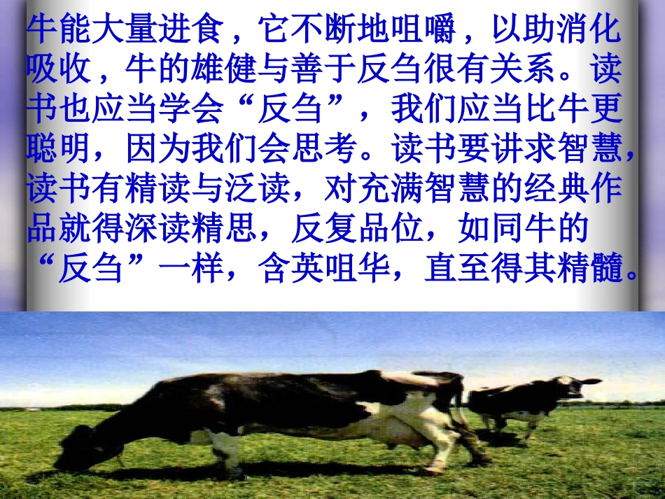 苏教版九年级上第9课《成功》PPT_第2页