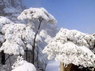 冬天是个魔术师（上）