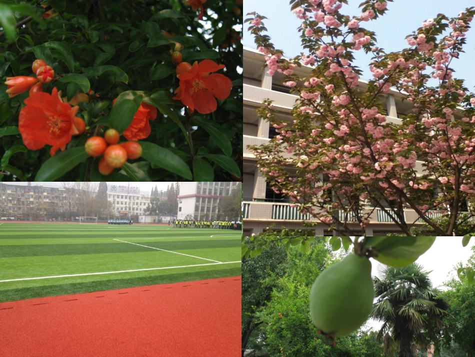 借景抒情修改稿_第2页