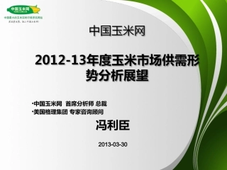 中国玉米网：2012-13年度玉米市场供需形势分析展望