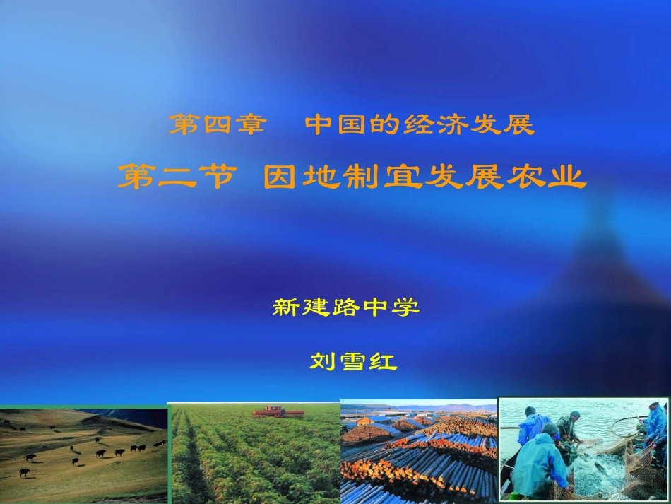 农业的地区分布_第1页