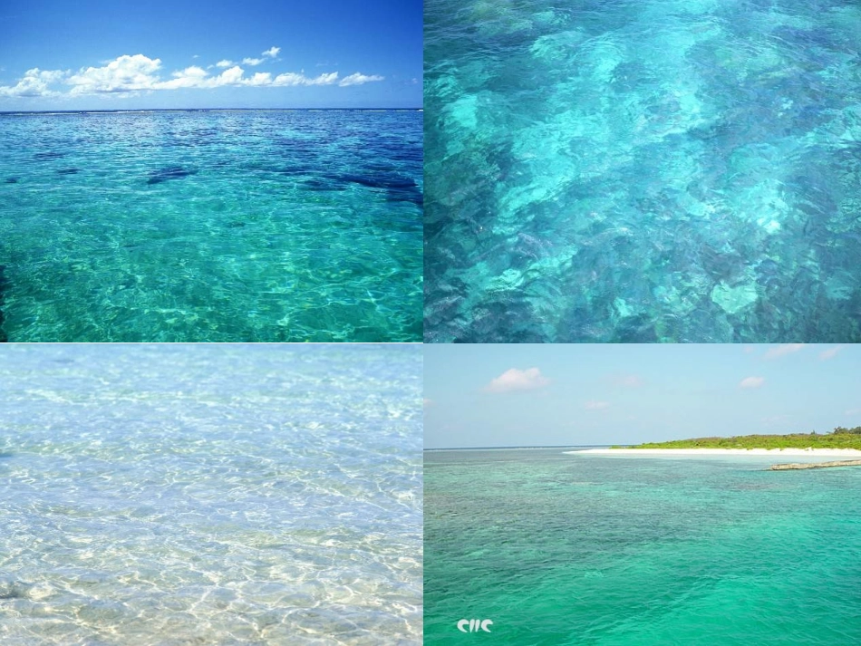 富饶的西沙群岛演示文稿_第3页